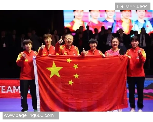 丁宁与金宋依巅峰对决乒乓球赛精彩瞬间回顾与分析